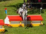 Draak - CIC3* Luhmuhlen 2014