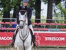 Draak - CCI3* Strzegom 2015