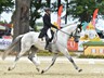 Draak - CCI3* Strzegom 2015