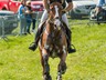 Gento - Waregem 2014 CIC1*