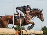 Gento - Waregem 2014 CIC1*